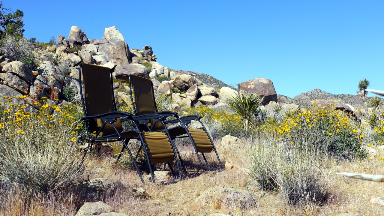 Photo of Others in Joshua Tree Highlands