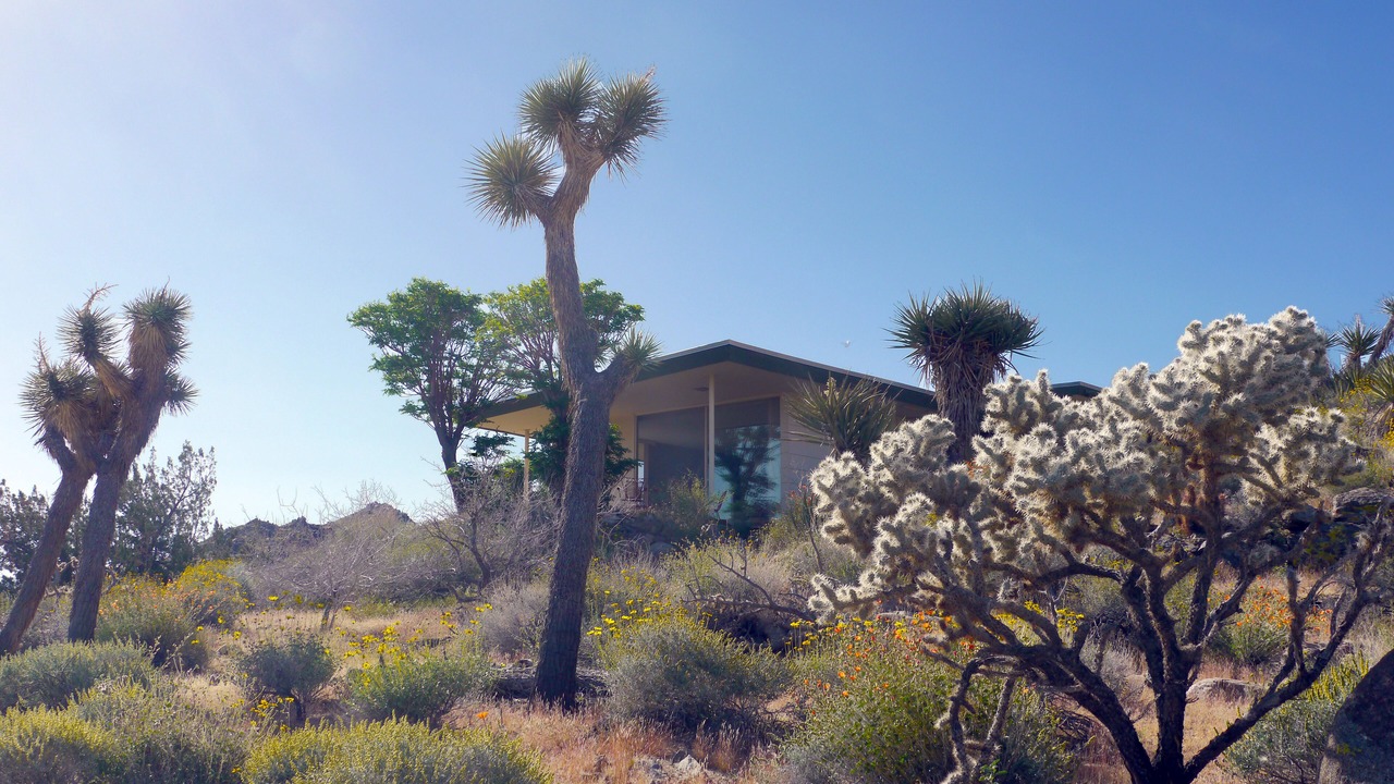 Photo of Others in Joshua Tree Highlands
