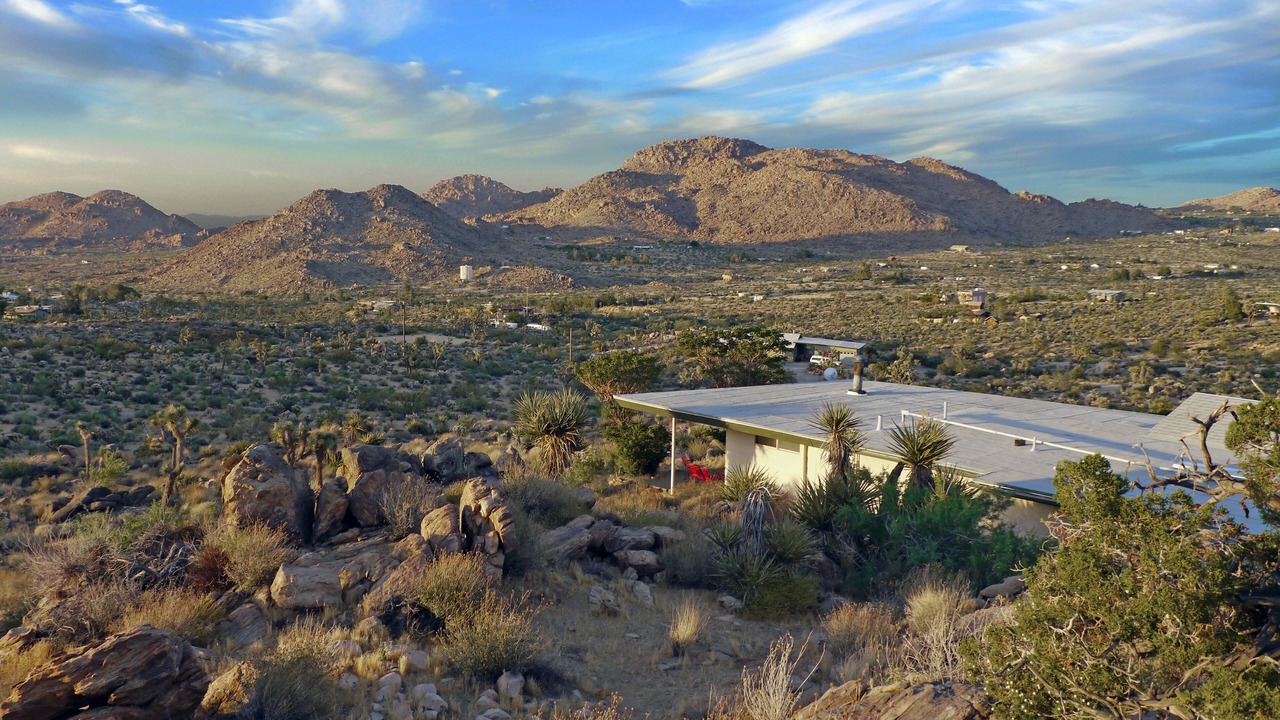 Photo of Others in Joshua Tree Highlands