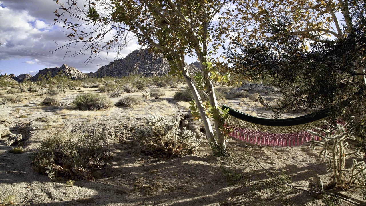 Photo of Outdoor in Panorama Heights