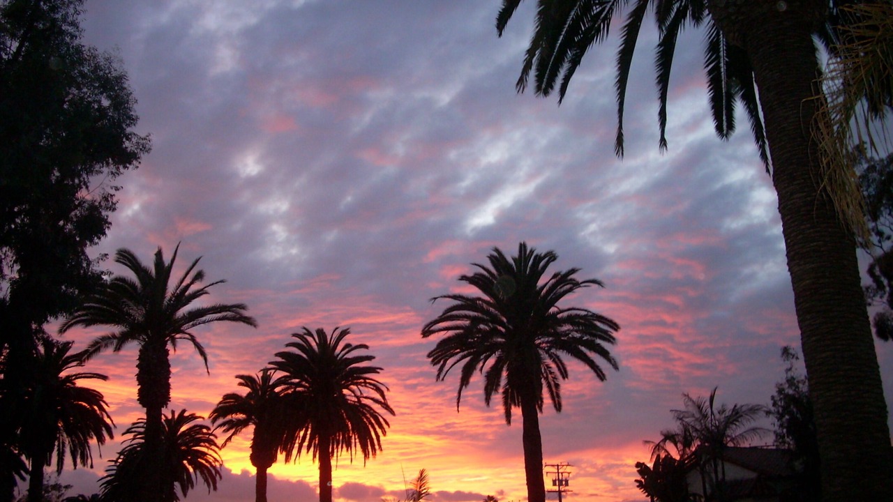 Photo of Others in Corona del Mar