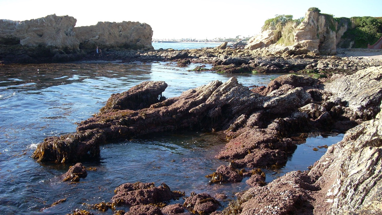 Photo of Others in Corona del Mar
