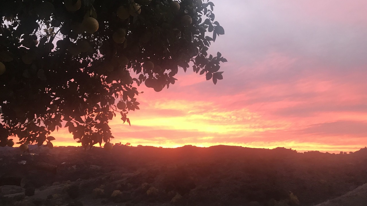 Photo of Bedroom in Topanga