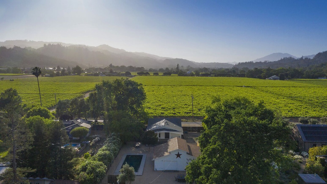 Photo of Others in St. Helena