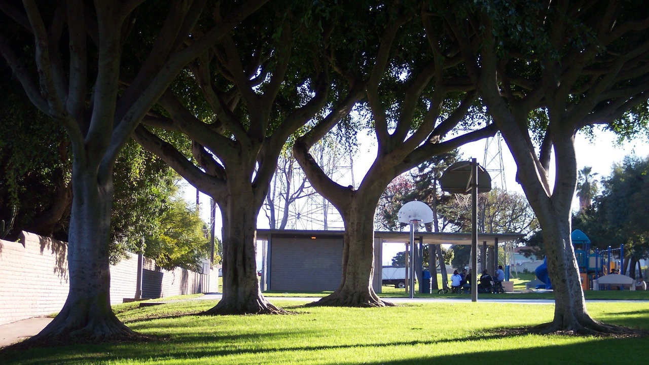 Photo of Others in North Redondo