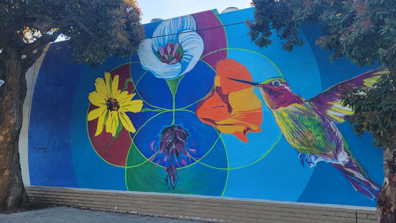 Photo of Outdoor in North Redondo