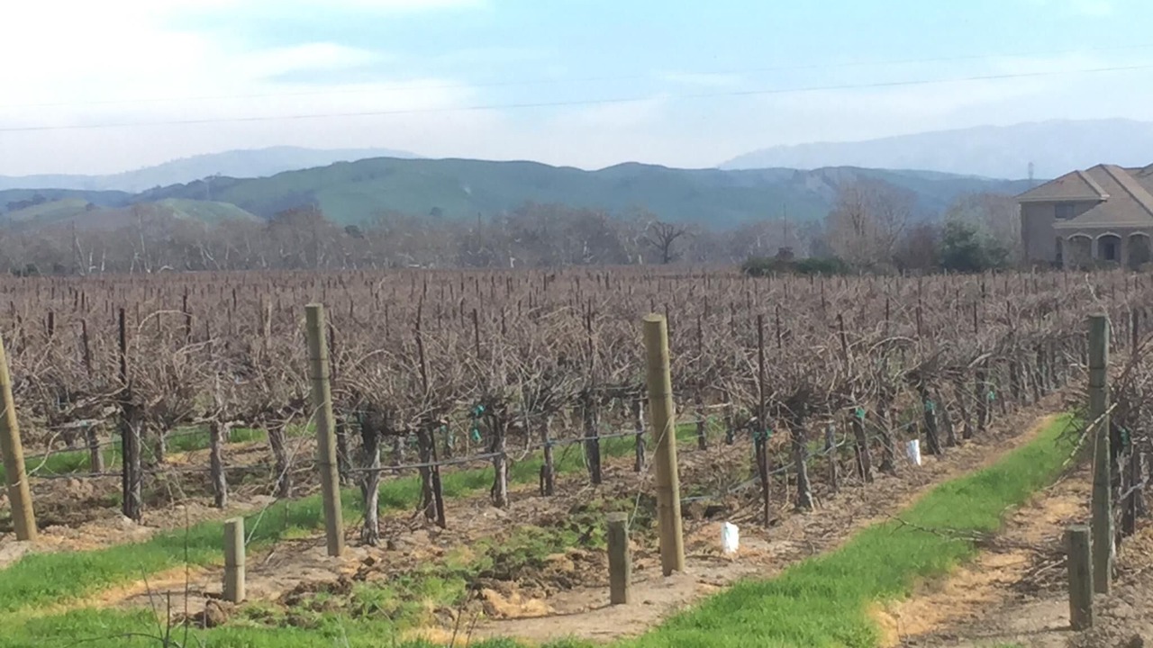 Photo of Others in Livermore