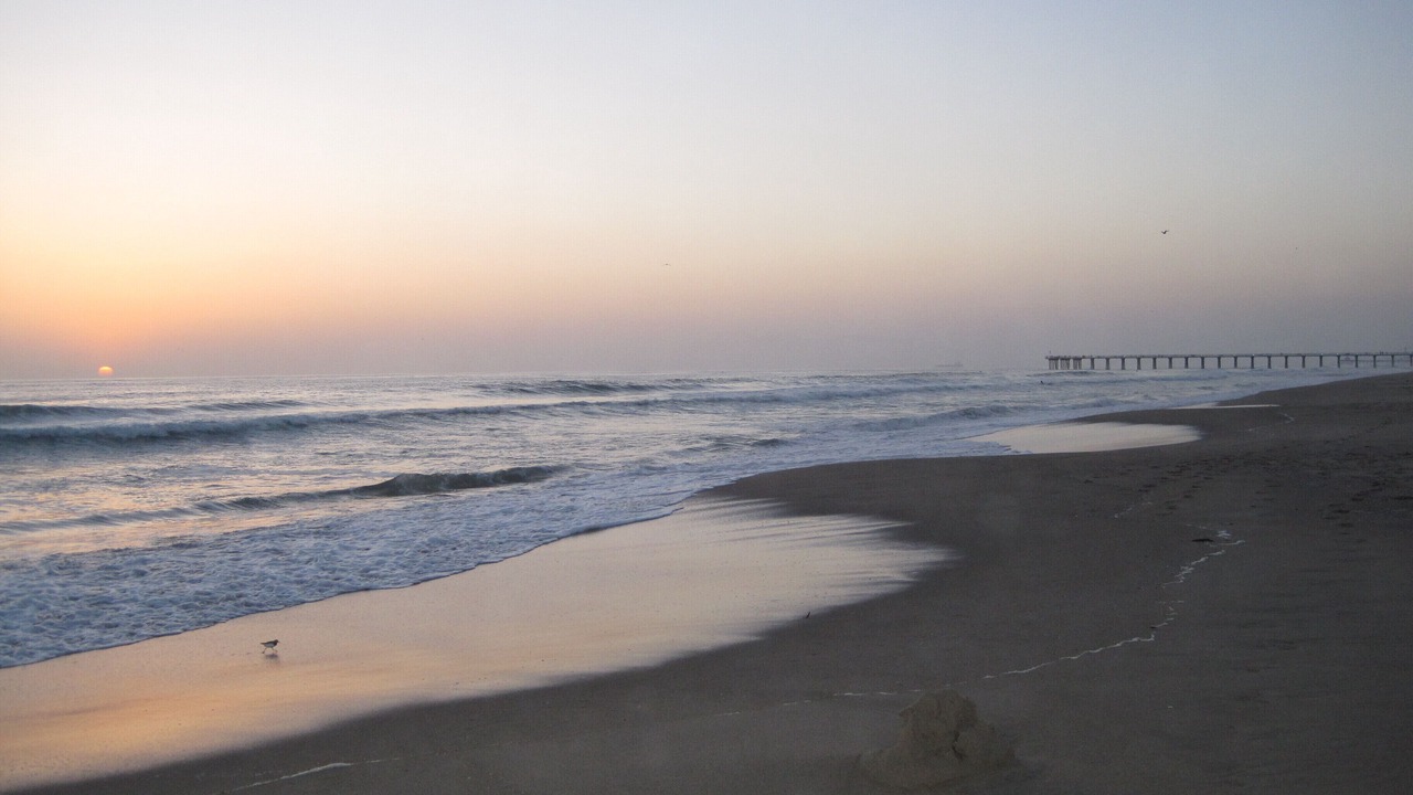 Photo of Others in Hermosa Beach