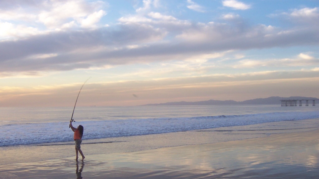 Photo of Others in Hermosa Beach