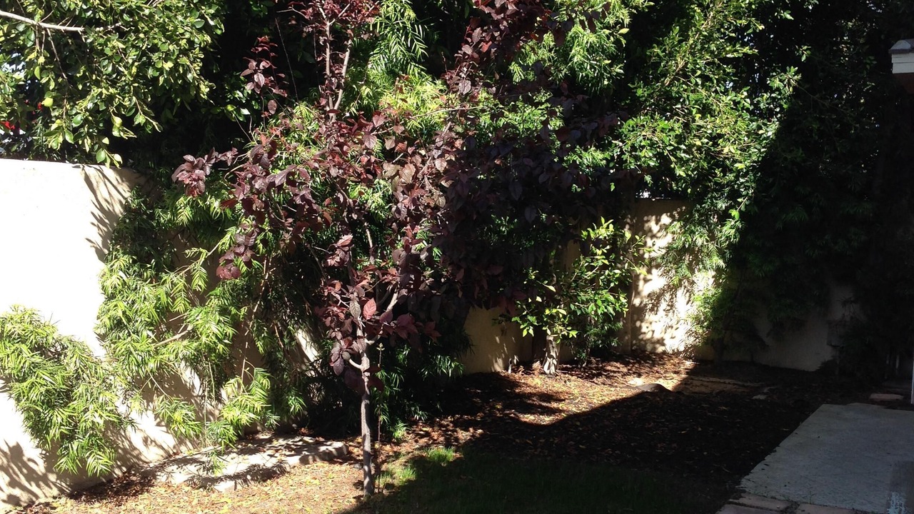 Photo of Outdoor in North Redondo