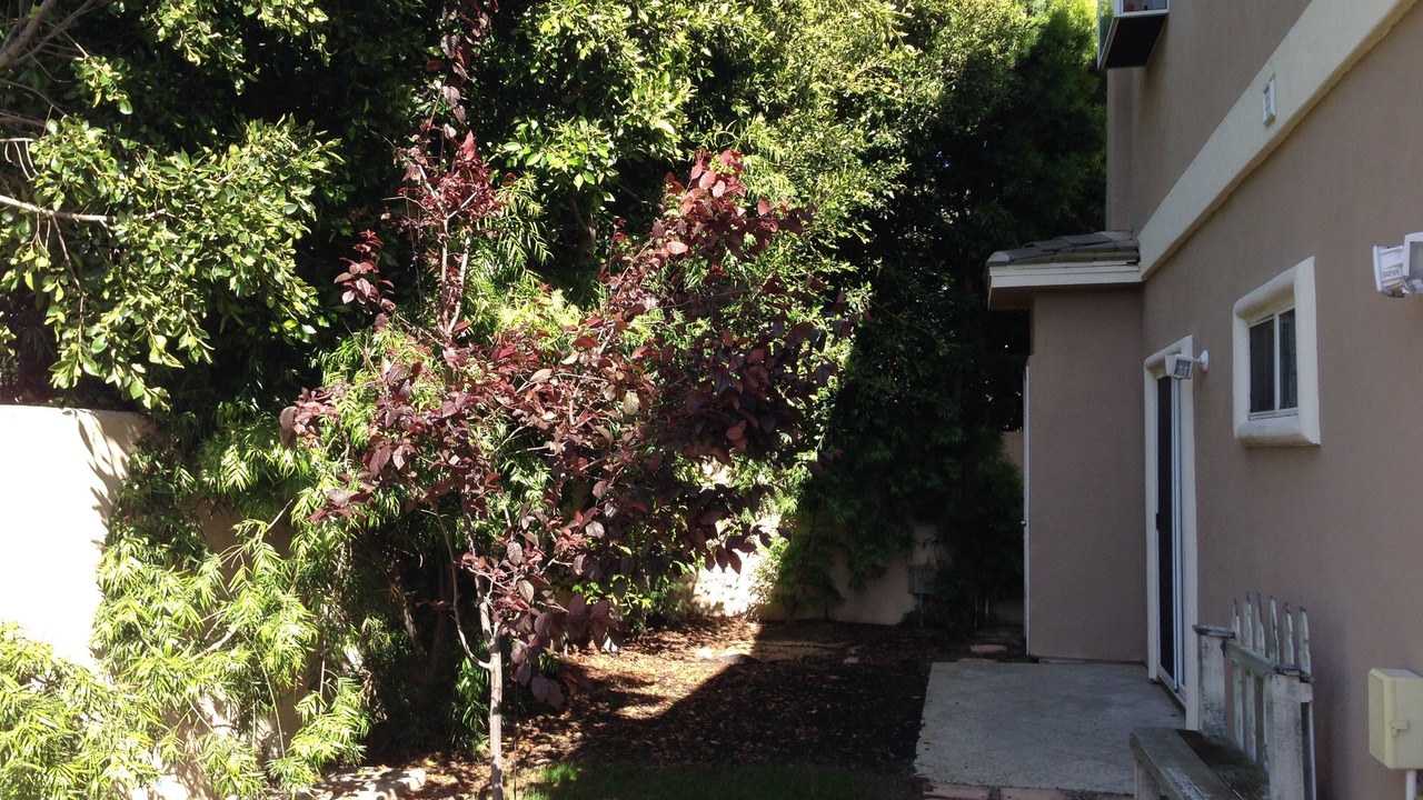 Photo of Outdoor in North Redondo