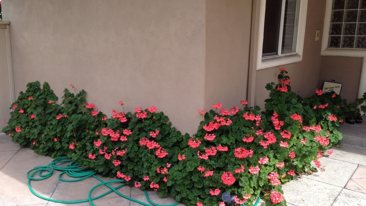Photo of Outdoor in North Redondo