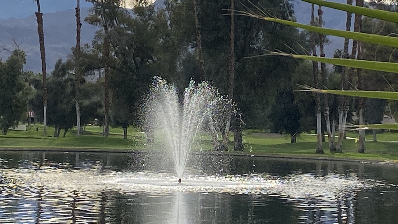 Photo of Others in Palm Desert
