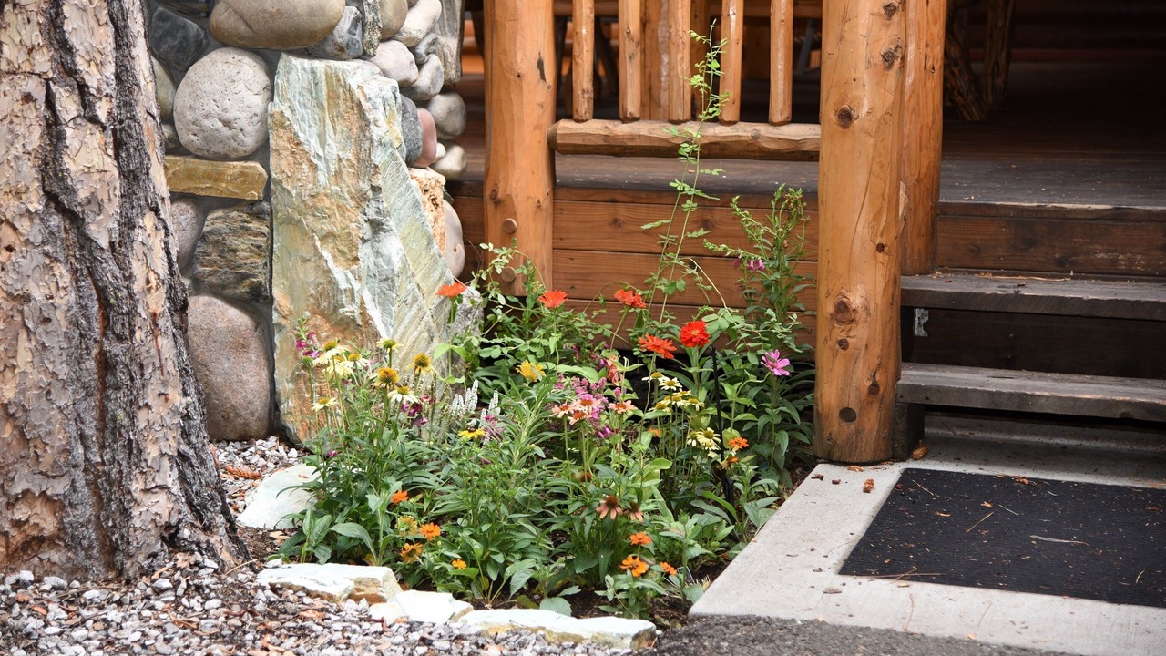 Photo of Outdoor in North Wawona