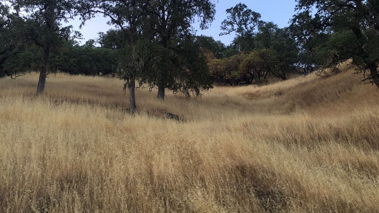 Photo of Others in Ukiah