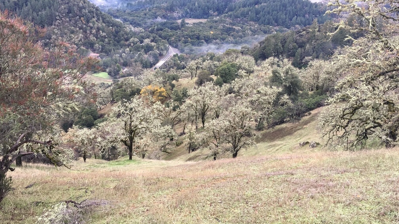 Photo of Outdoor in Ukiah