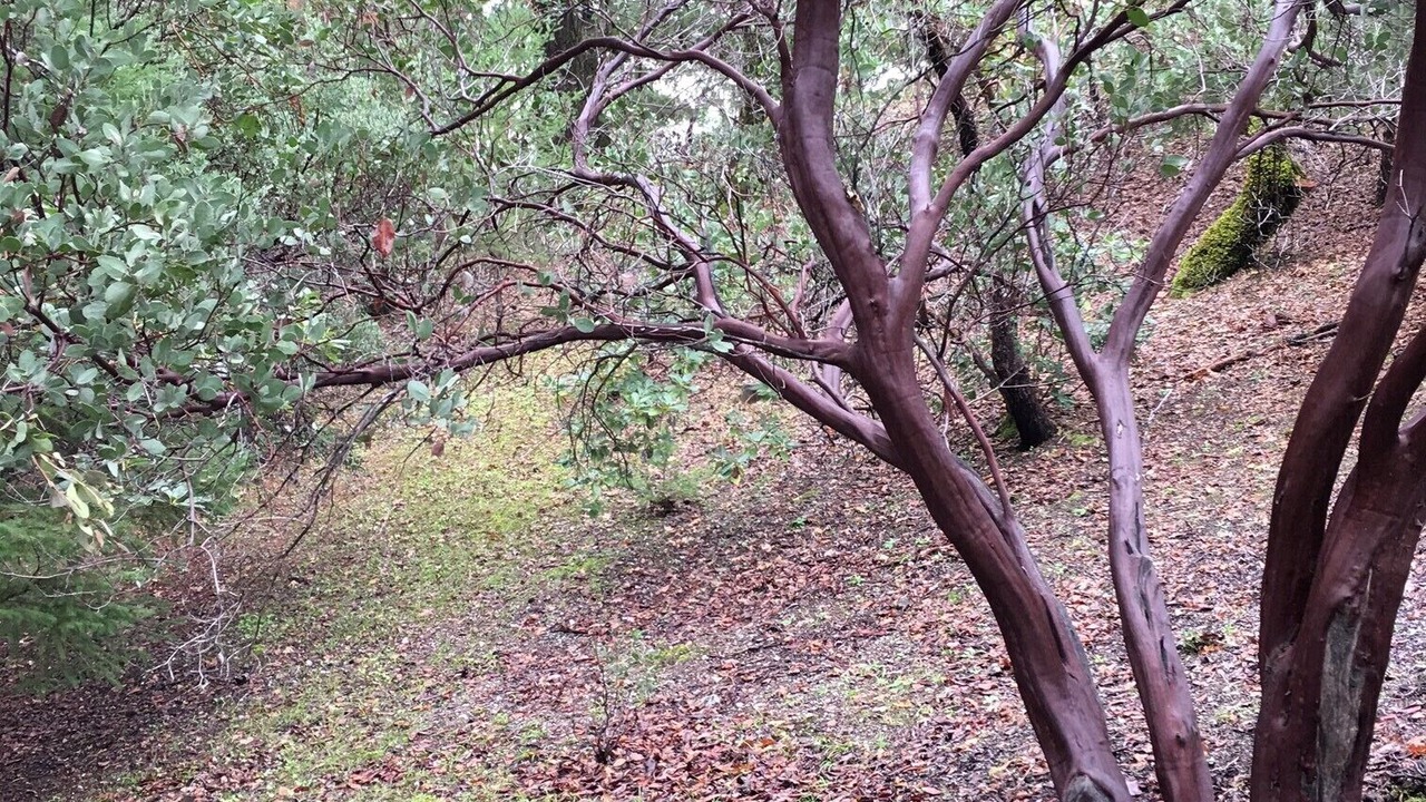 Photo of Outdoor in Ukiah