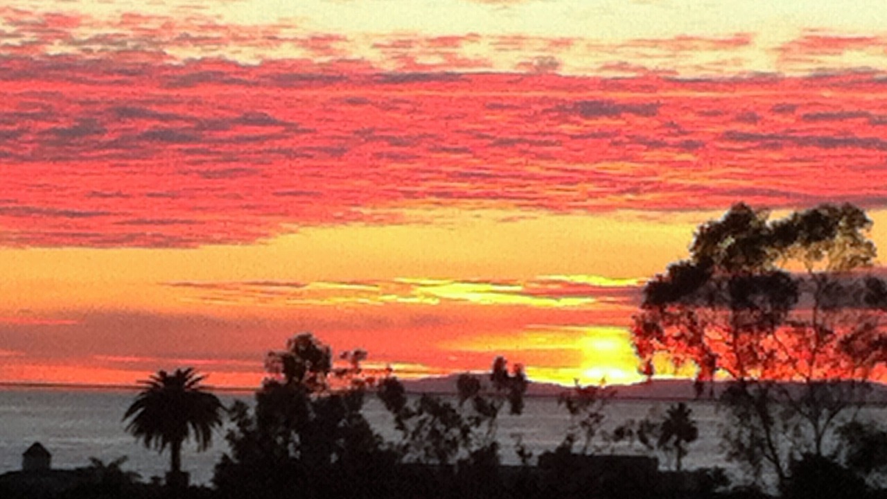 Photo of Others in Laguna Beach