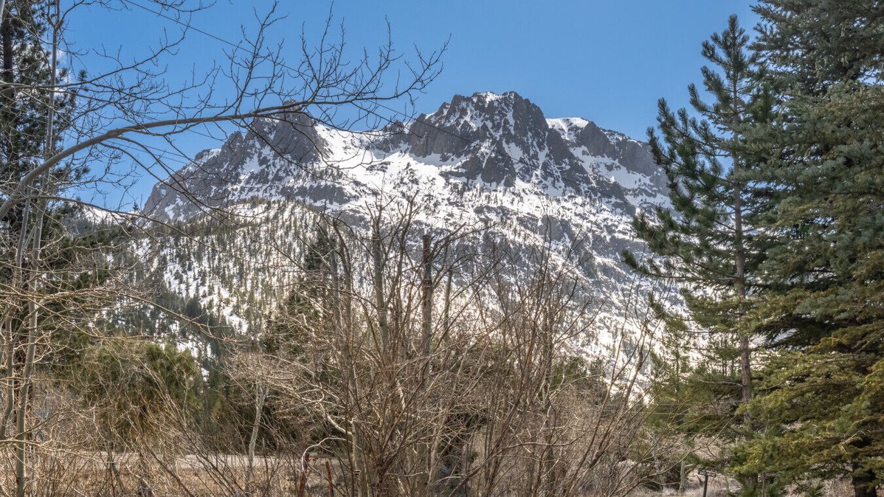 Photo of Others in June Lake