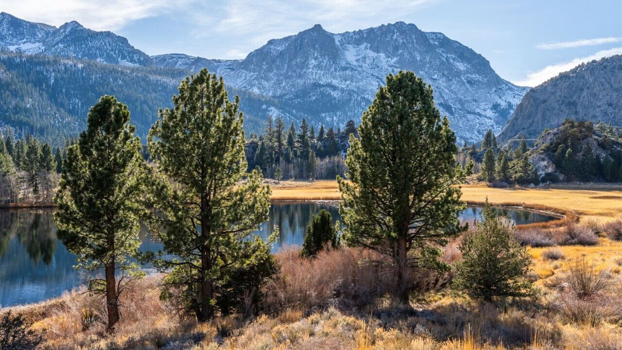 Photo of Others in June Lake
