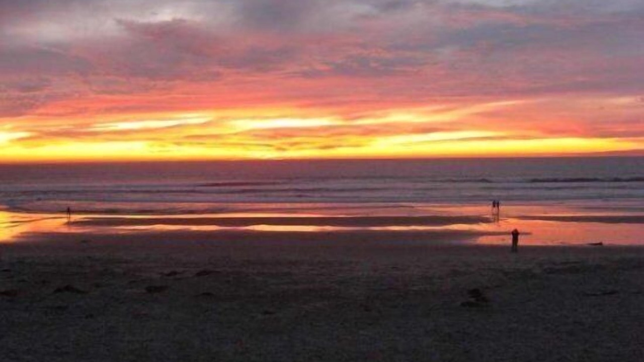 Photo of Others in Mission Beach