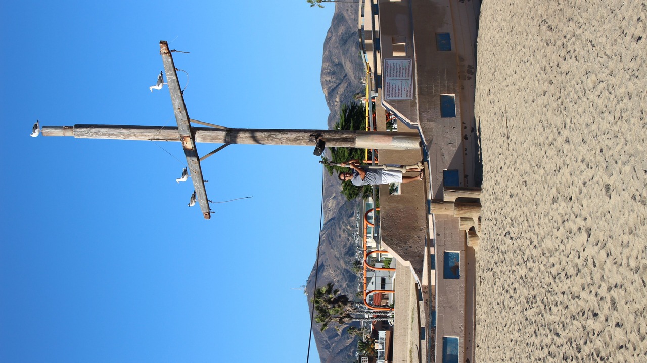 Photo of Others in Pierpont Bay