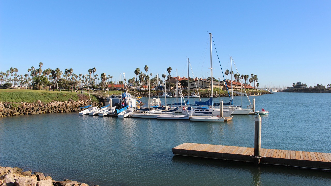Photo of Others in Pierpont Bay