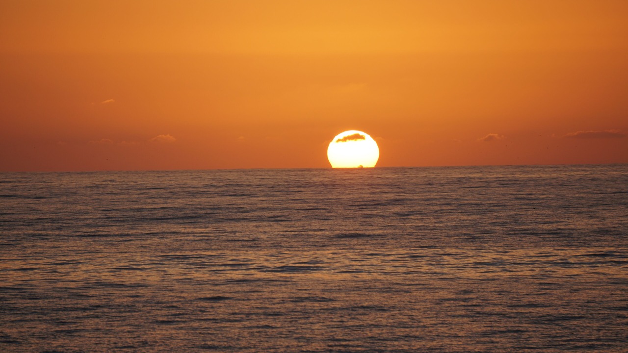 Photo of Others in La Jolla Mesa