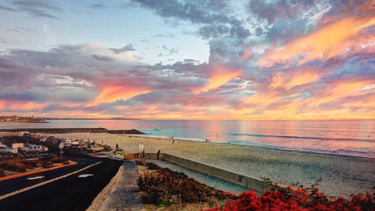 Photo of Others in Olde Carlsbad