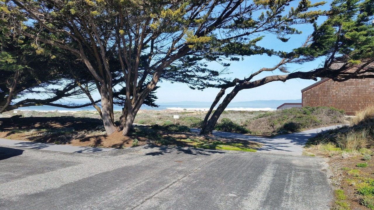 Photo of Outdoor in Castroville