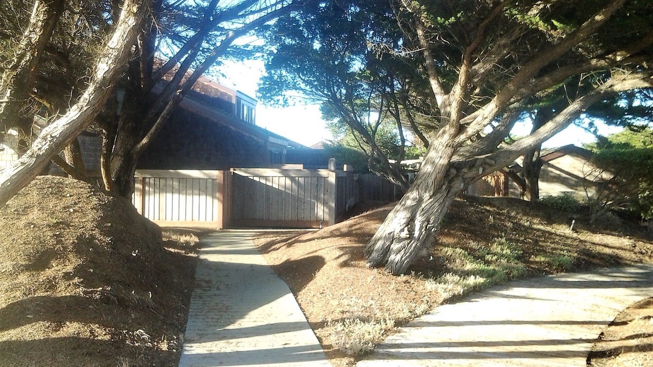 Photo of Outdoor in Castroville