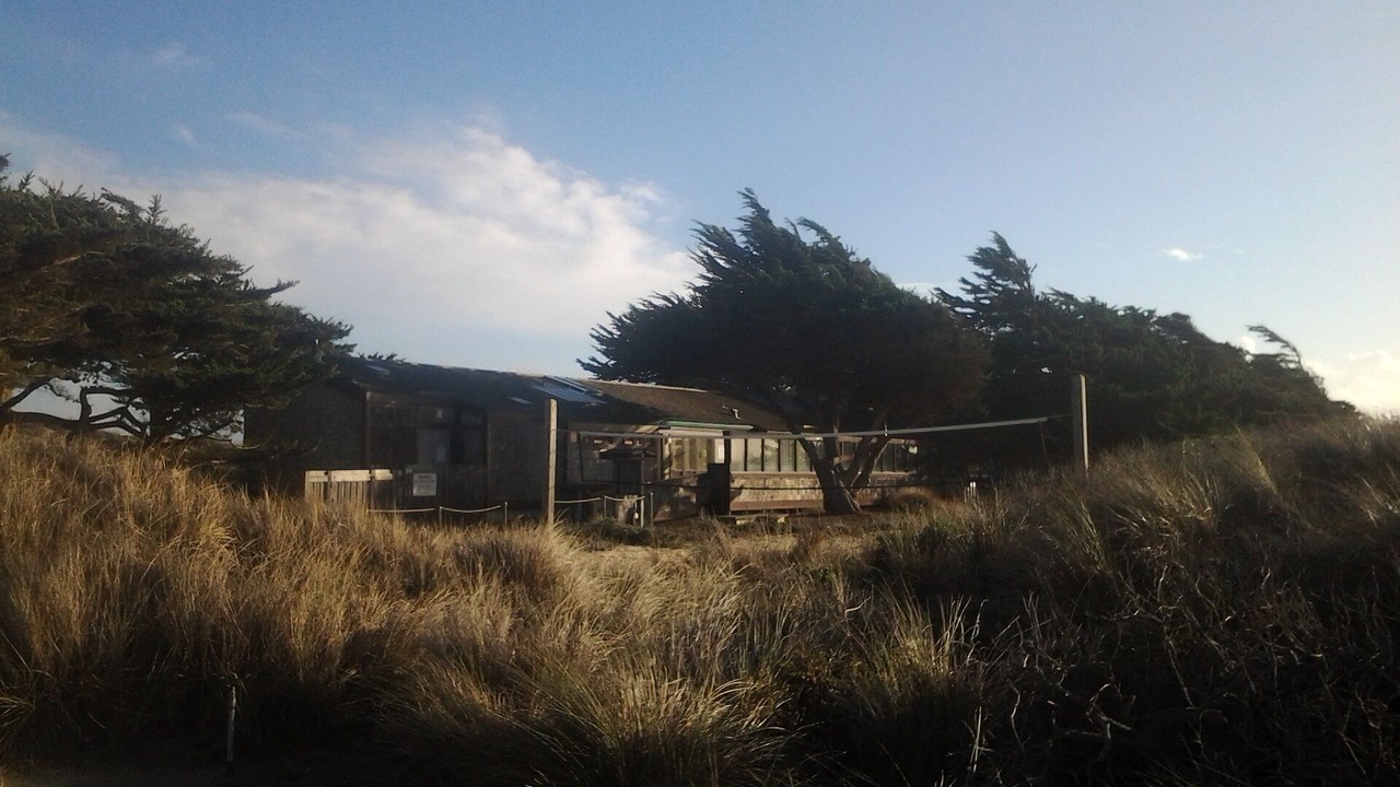 Photo of Outdoor in Castroville