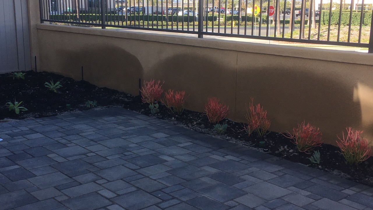 Photo of Outdoor in Foothill Ranch