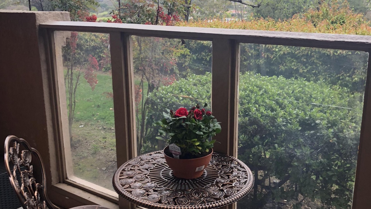Photo of Outdoor in Laguna Niguel