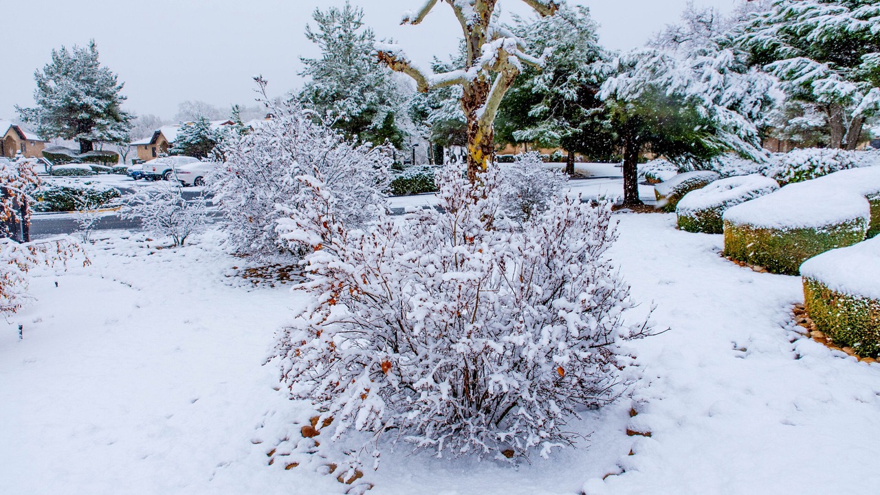 Photo of Outdoor in Stallion Springs
