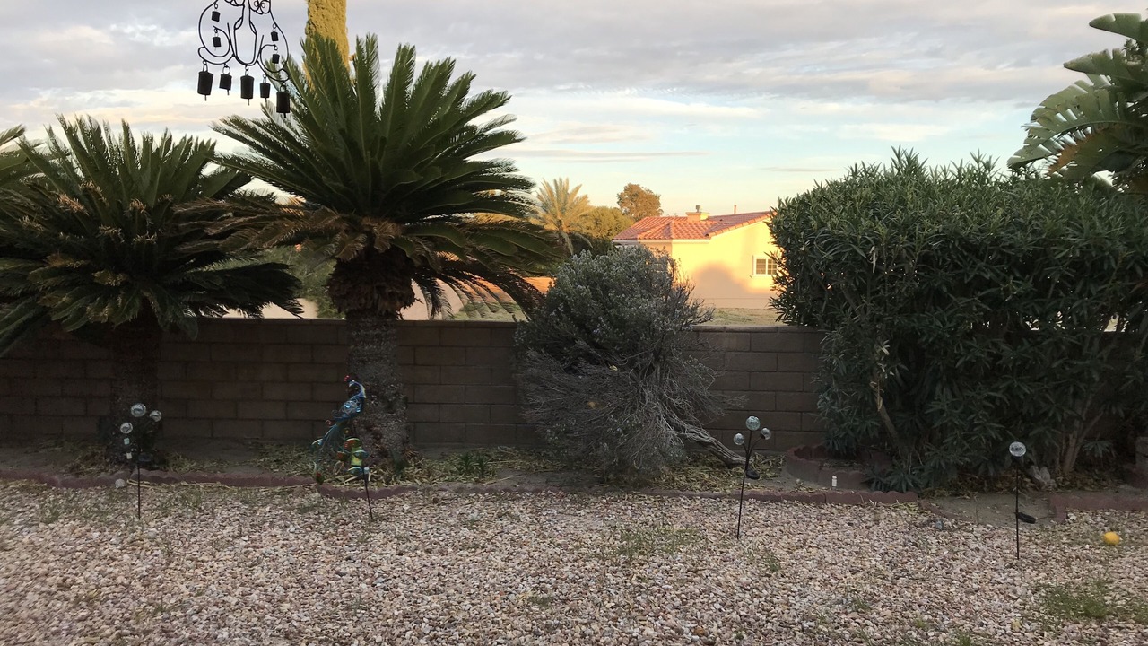 Photo of Outdoor in Desert Hot Springs