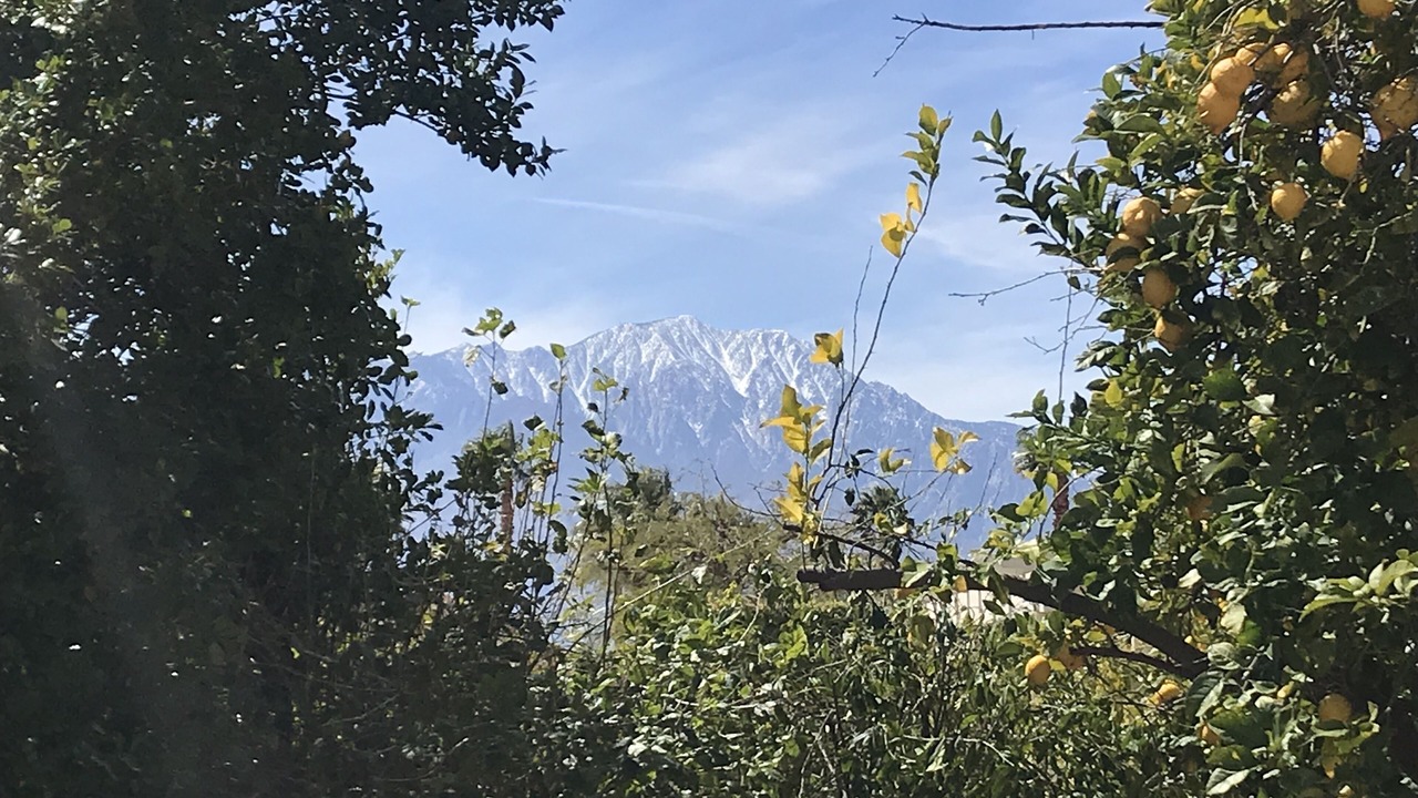 Photo of Outdoor in Desert Hot Springs