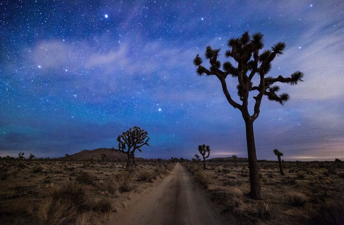 Photo of Others in Joshua Tree