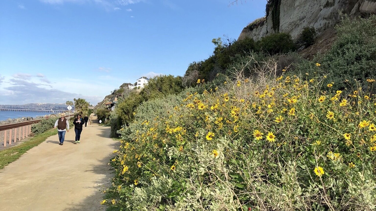 Photo of Others in San Clemente