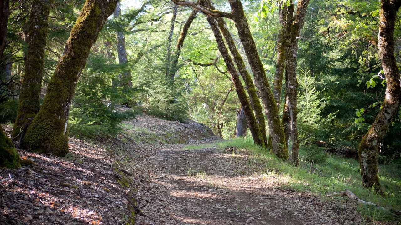 Photo of Others in Ukiah