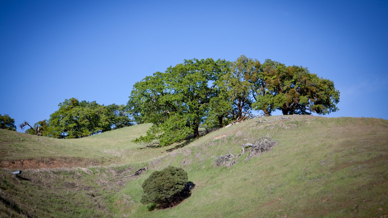 Photo of Others in Ukiah