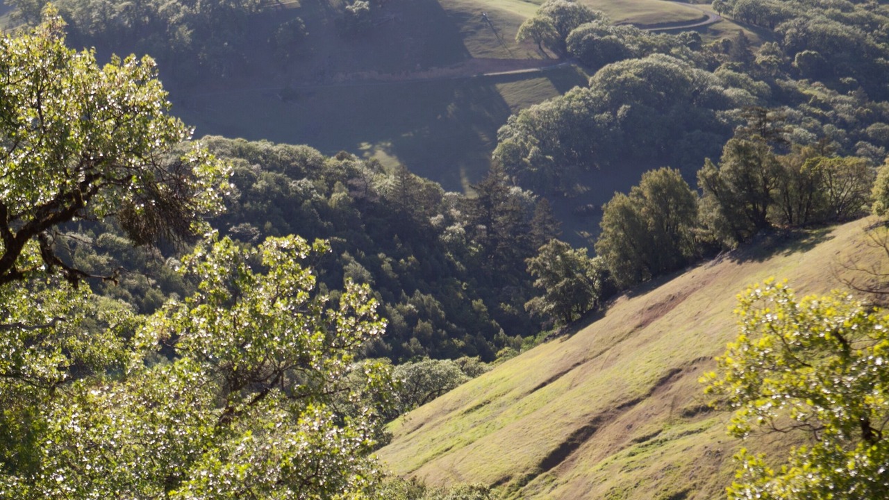 Photo of Others in Ukiah
