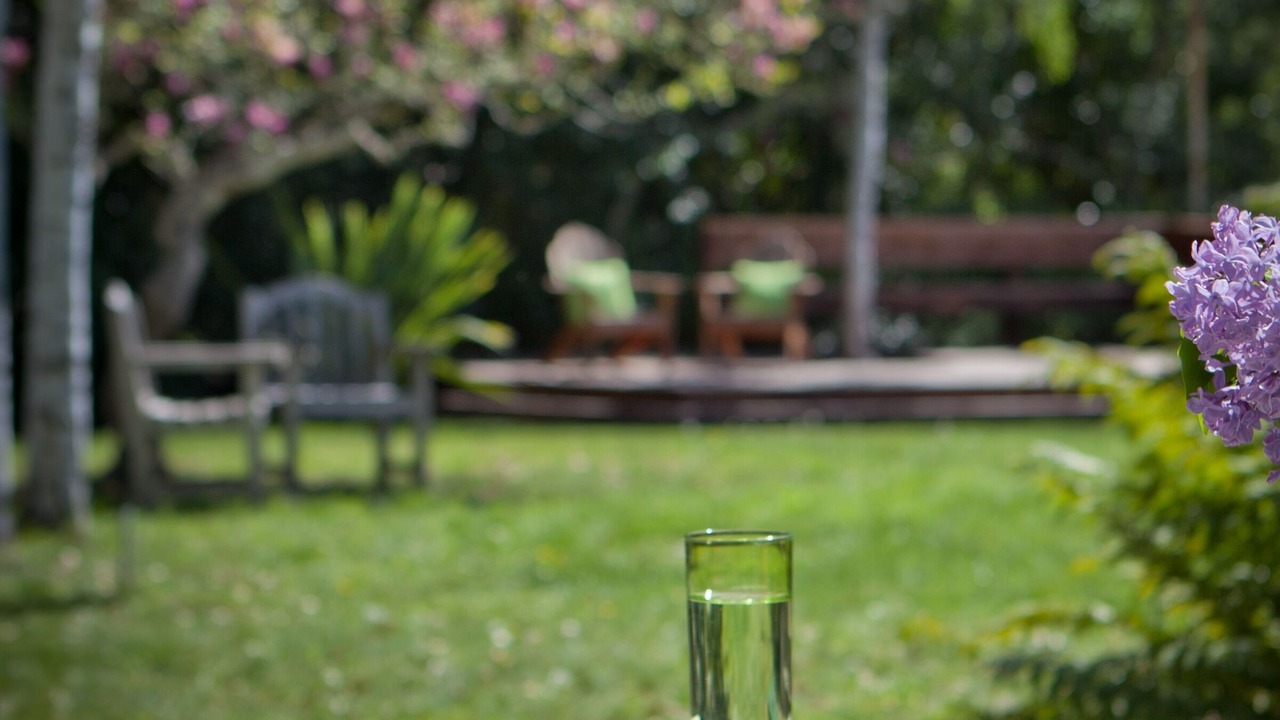 Photo of Outdoor in Ukiah