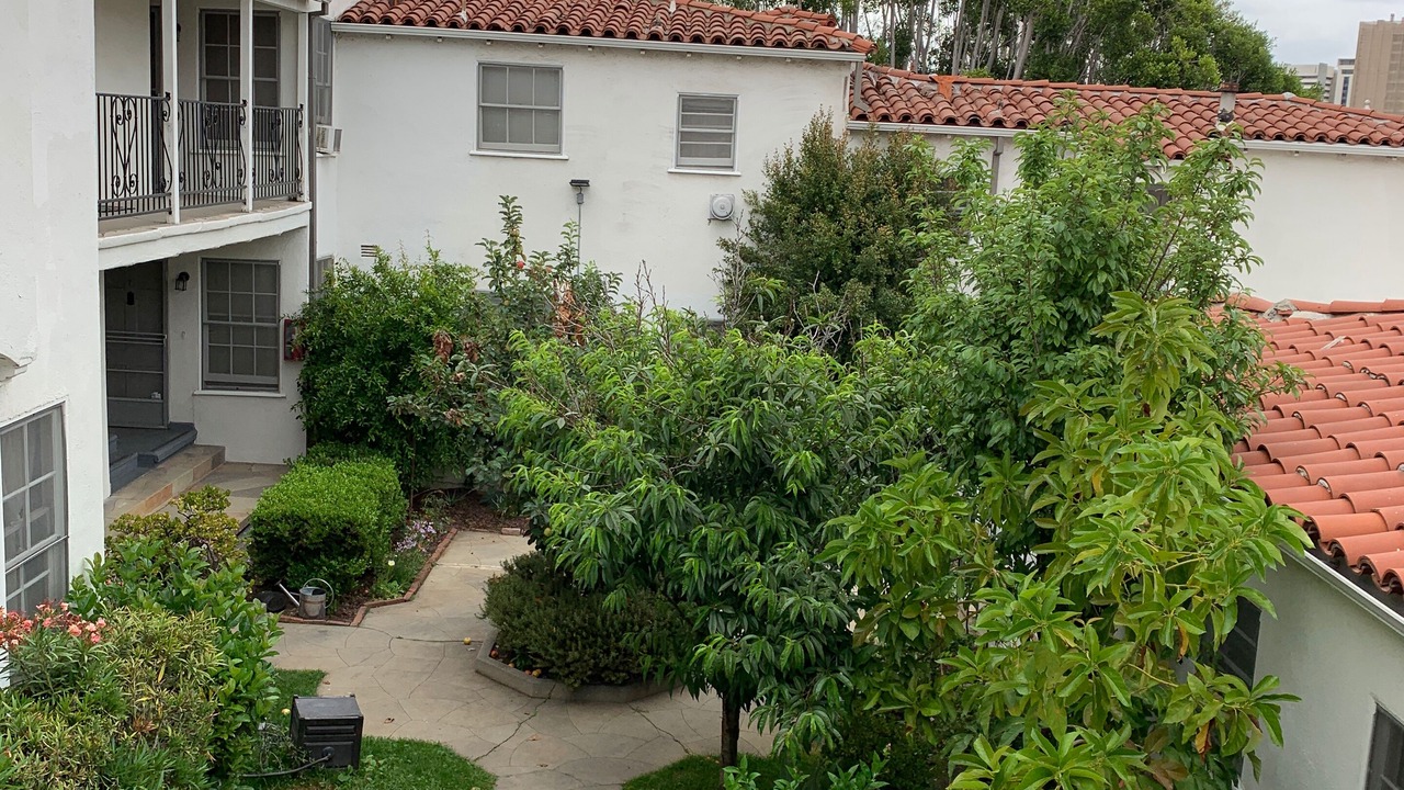 Photo of Outdoor in Westwood