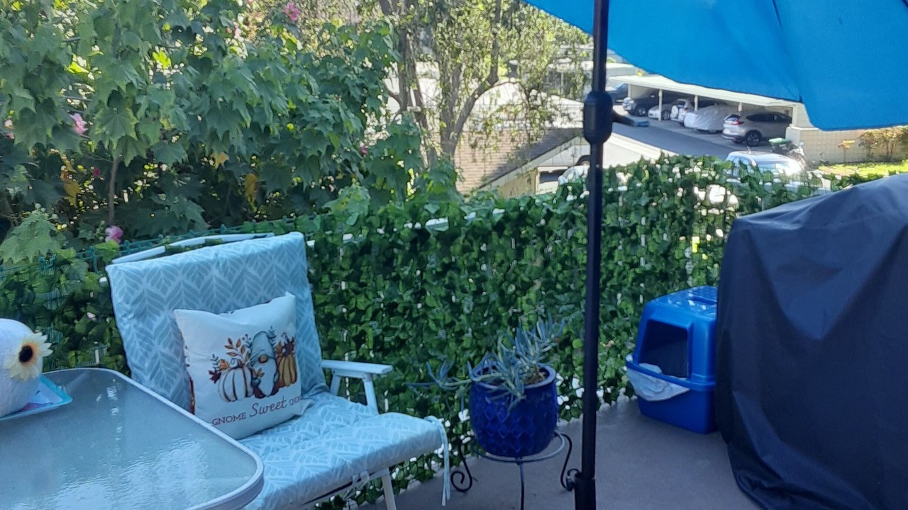 Photo of Outdoor in Laguna Woods