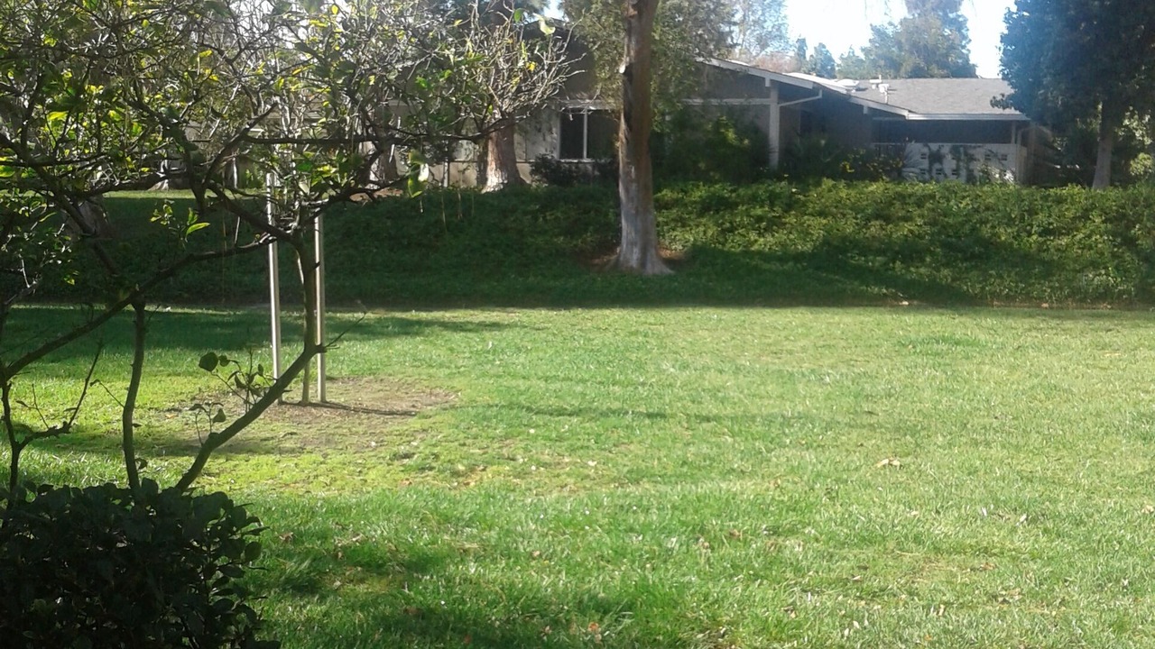 Photo of Outdoor in Laguna Woods
