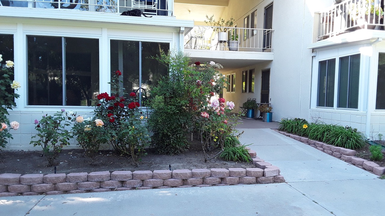 Photo of Outdoor in Laguna Woods