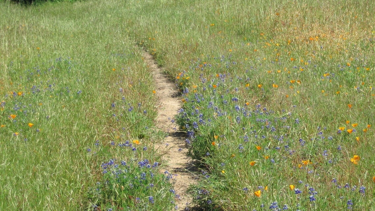 Photo of Others in Point Reyes Station