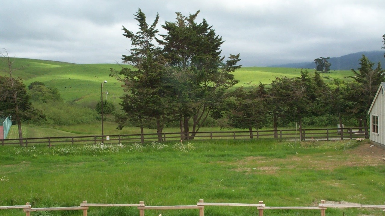 Photo of Outdoor in Point Reyes Station