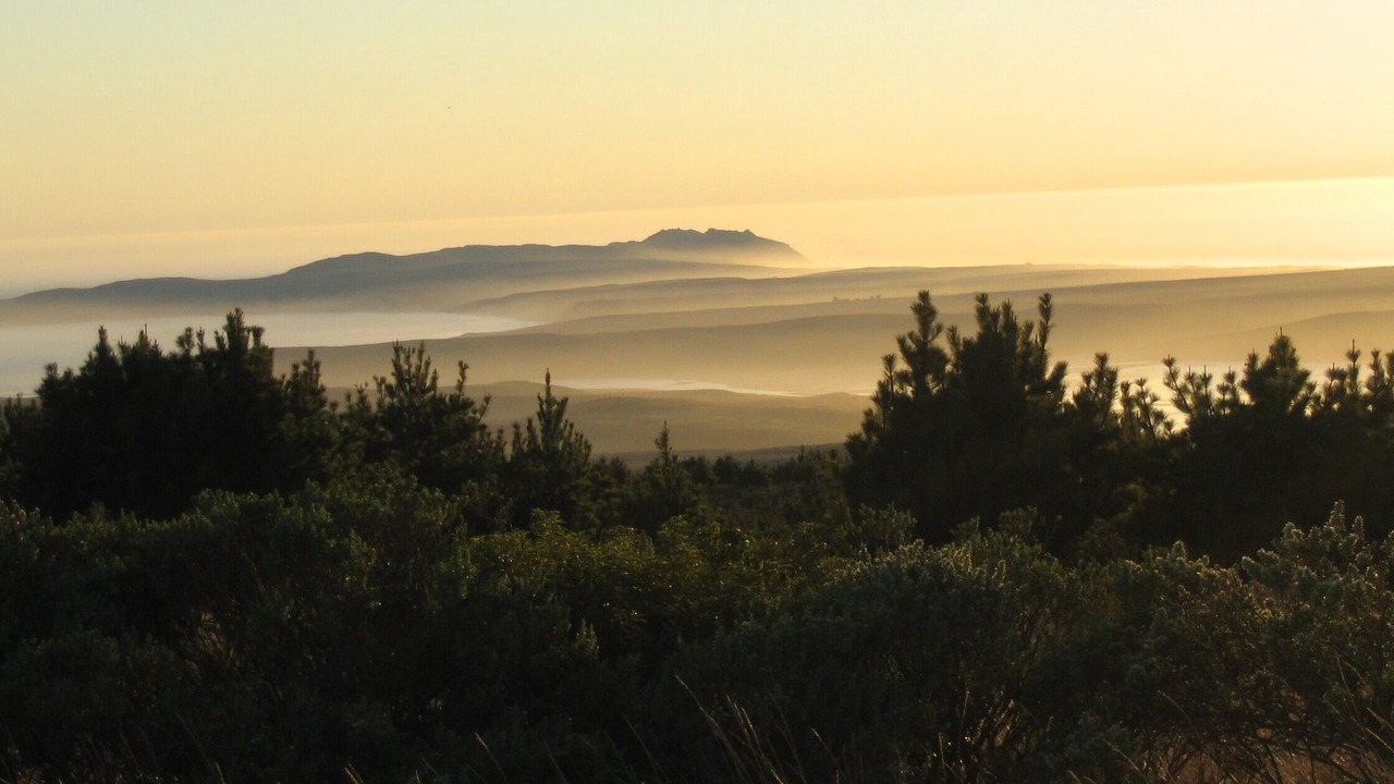 Photo of Others in Point Reyes Station